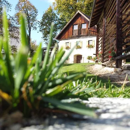 Slo-etno House Gostece-vintage Apartma * Mozirje