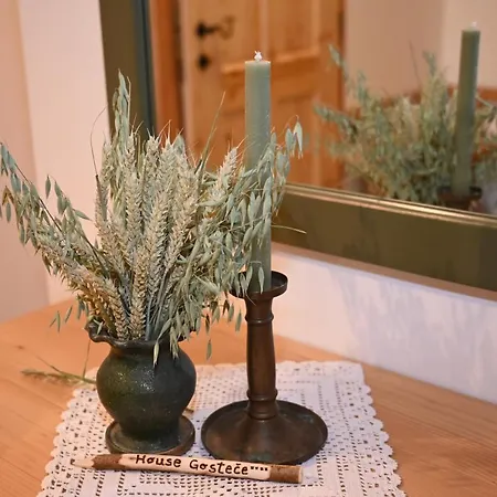 Daire Slo-etno House Gostece-vintage Apartma *