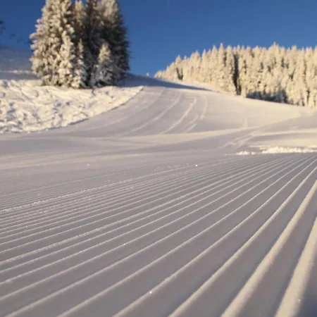 Apartamento Slo-etno House Gostece-vintage Apartma *