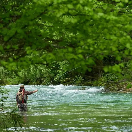 Apartamento Slo-etno House Gostece-vintage Apartma Mozirje