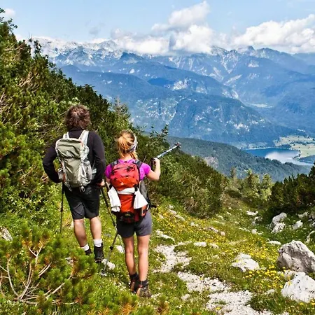 Slo-etno House Gostece-vintage Apartma