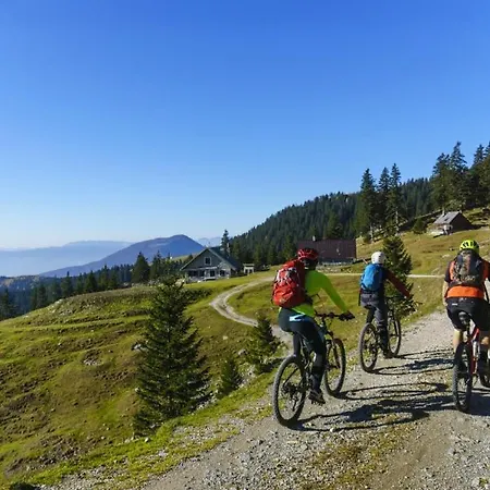 Slo-etno House Gostece-vintage Apartma * Mozirje