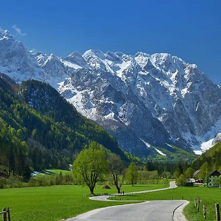 Slo-etno House Gostece-vintage Apartma Daire Mozirje