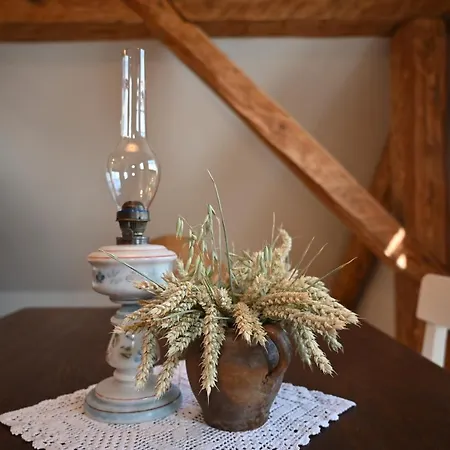 Slo-etno House Gostece-vintage Apartma