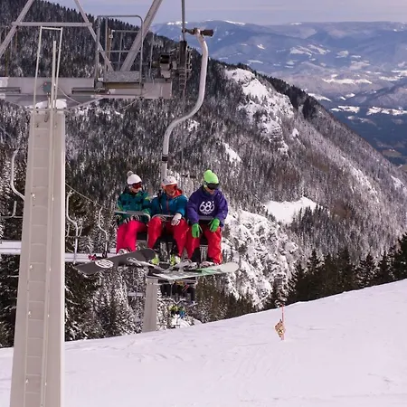 Slo-etno House Gostece-vintage Apartma Mozirje