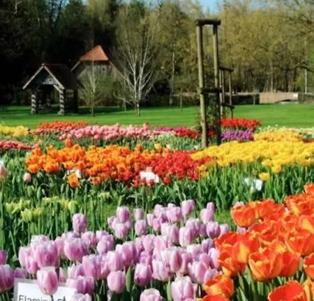 Slo-etno House Gostece-vintage Apartma Apartamento *