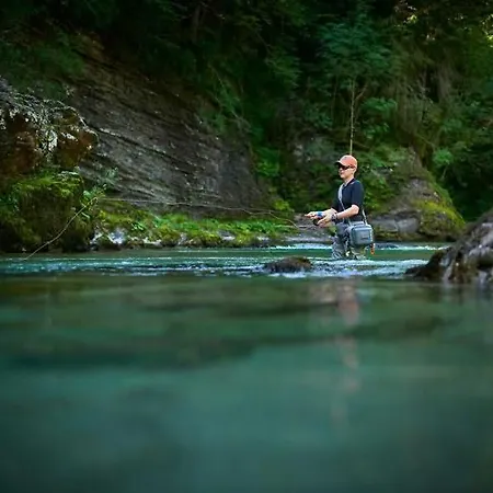 Apartamento Slo-etno House Gostece-vintage Apartma *