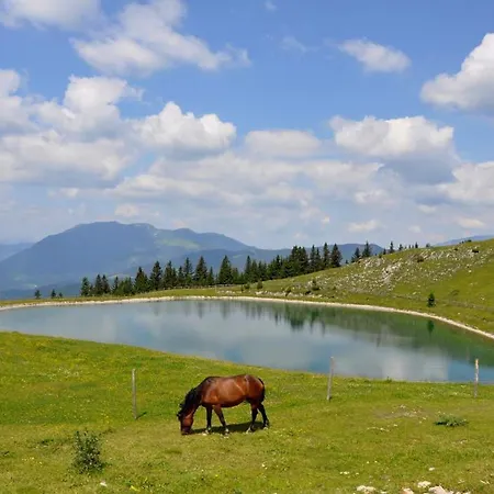 Slo-etno House Gostece-vintage Apartma Daire