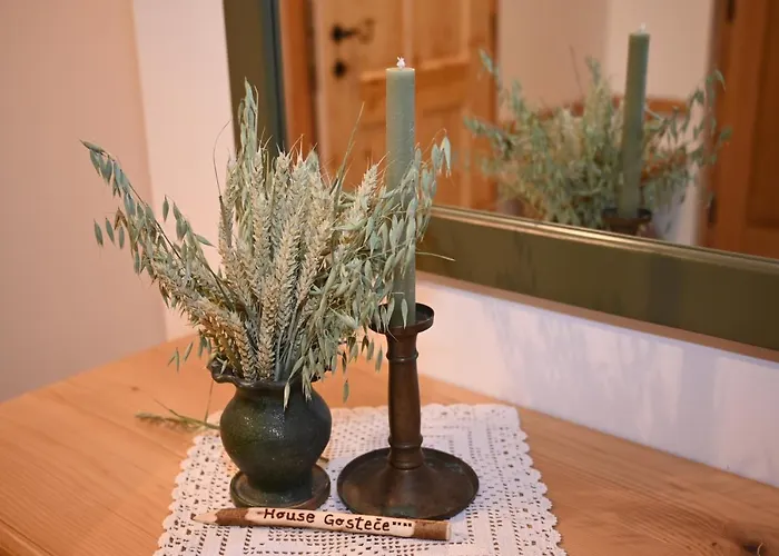 דירה Slo-etno House Gostece-vintage Apartma *