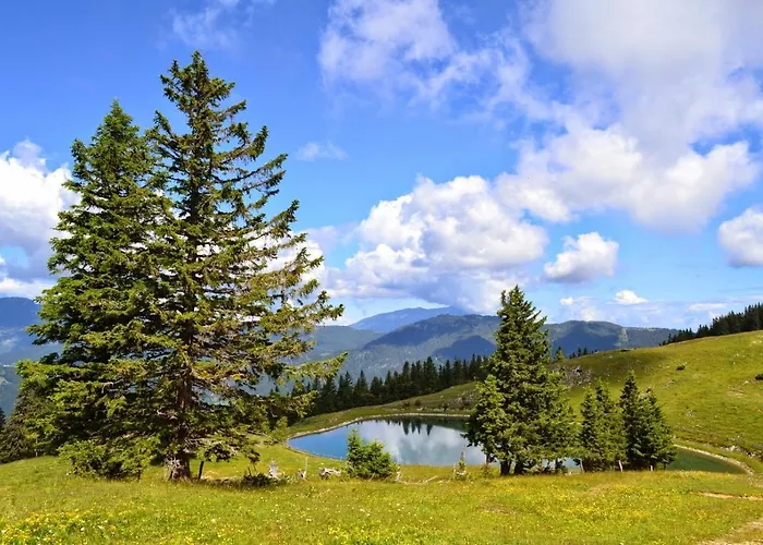 Slo-etno House Gostece-vintage Apartma *