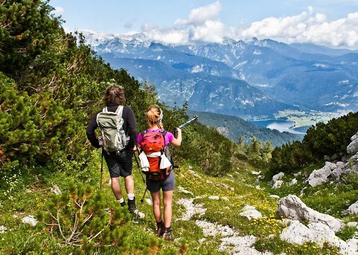 Slo-etno House Gostece-vintage Apartma