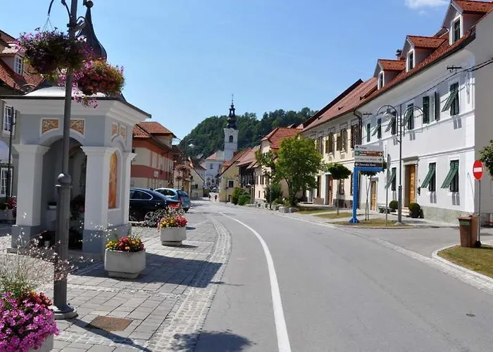 Slo-etno House Gostece-vintage Apartma *