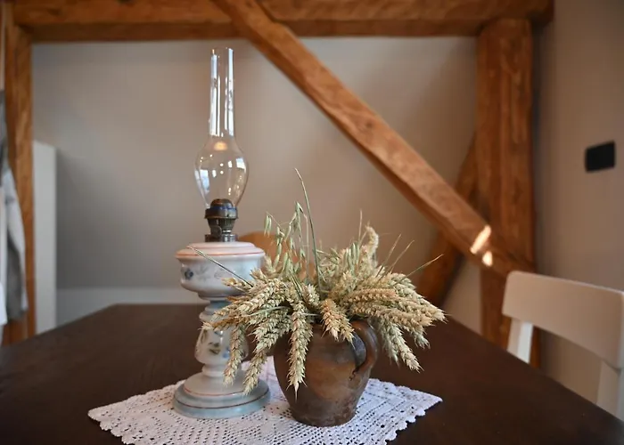 Slo-etno House Gostece-vintage Apartma