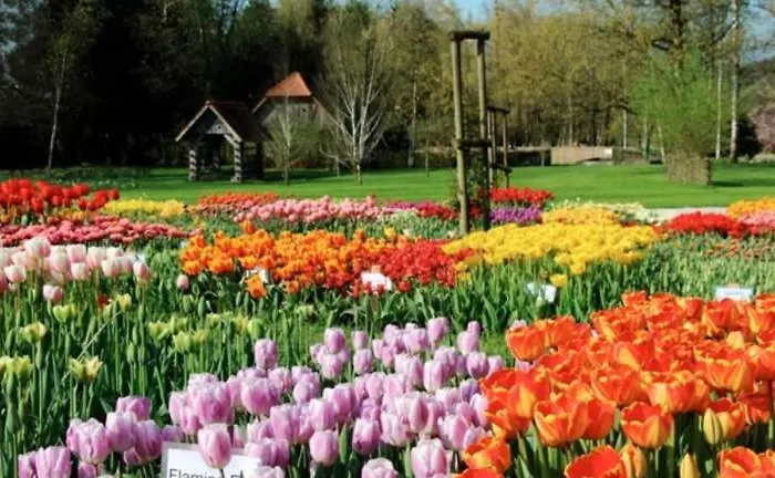 Slo-etno House Gostece-vintage Apartma דירה *